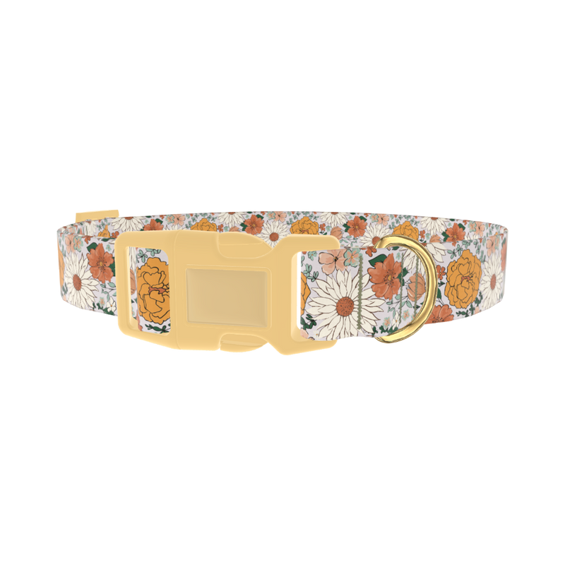 Colorful Floral Dog Collar - plastic gold