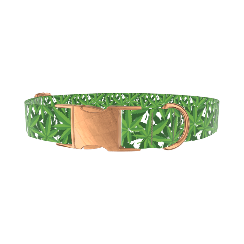 Leaf Pattern Dog Collar - metal rose gold