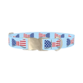 Patriotic Bowtie Dog Collar - metal silver