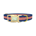 Navy Red Stripe Dog Collar - plastic gold