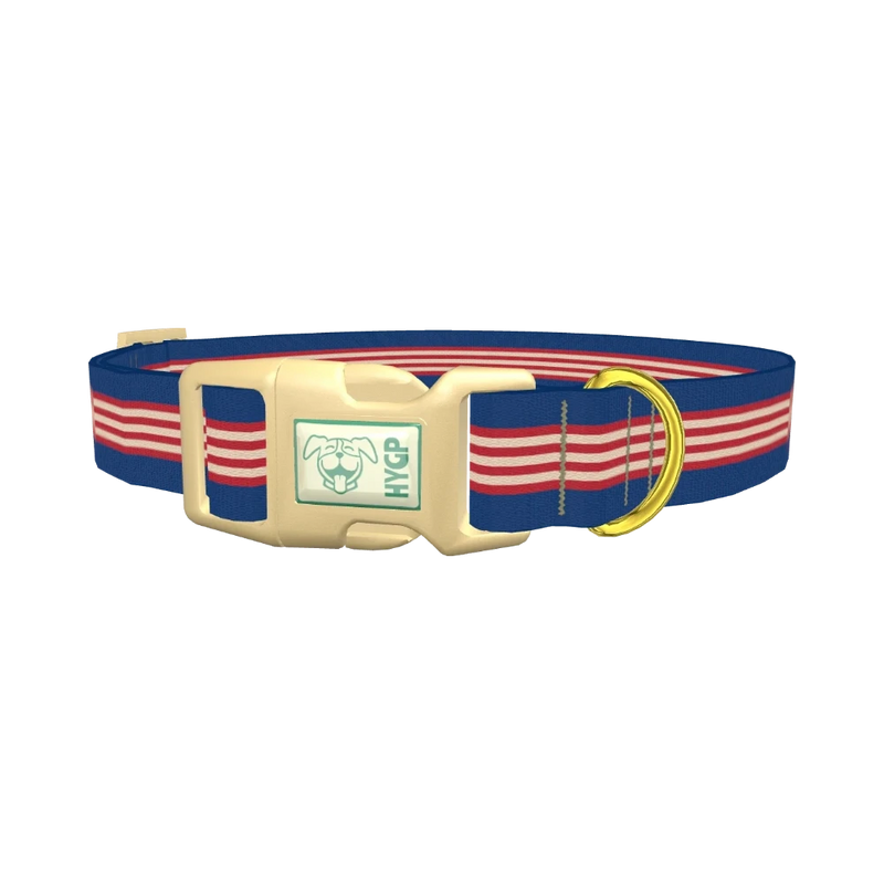 Navy Red Stripe Dog Collar - plastic gold