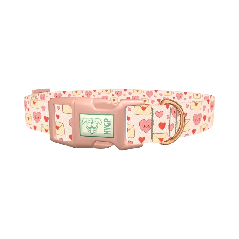 Valentine Hearts Dog Collar - plastic rose gold