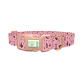 Halloween Palmistry Dog Collar - plastic rose gold