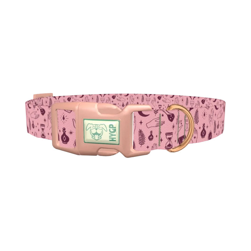 Halloween Palmistry Dog Collar - plastic rose gold