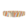 Colorful Diagonal Stripe Dog Collar - metal silver
