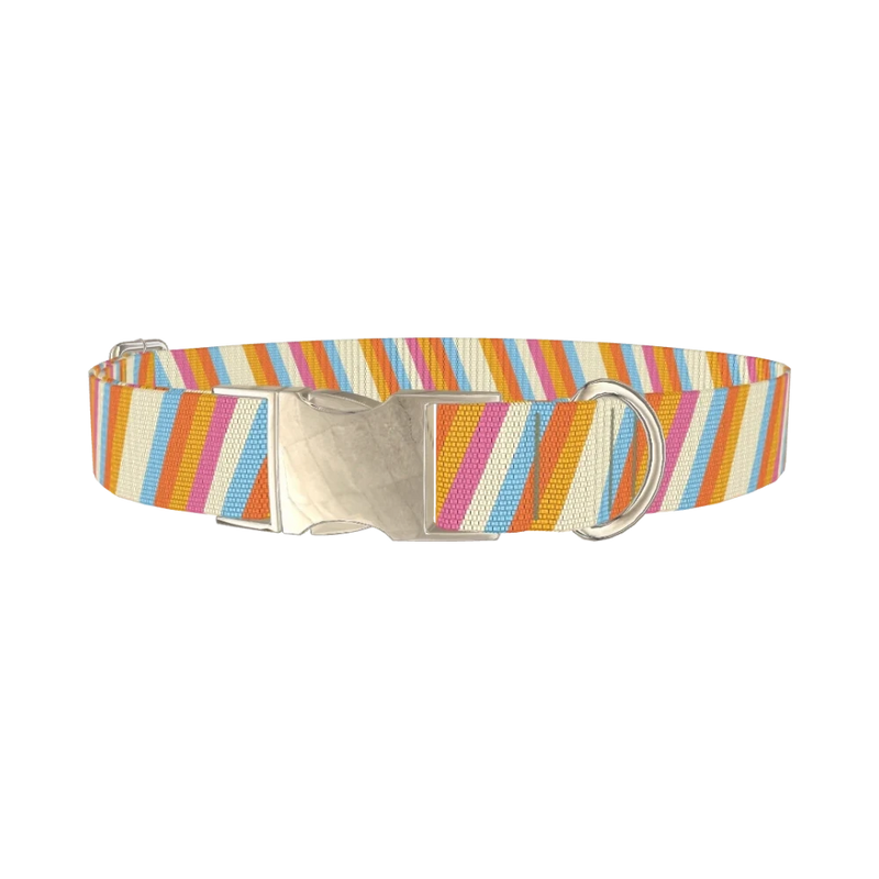 Colorful Diagonal Stripe Dog Collar - metal silver