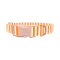 Halloween Stripes Dog Collar - plastic silver