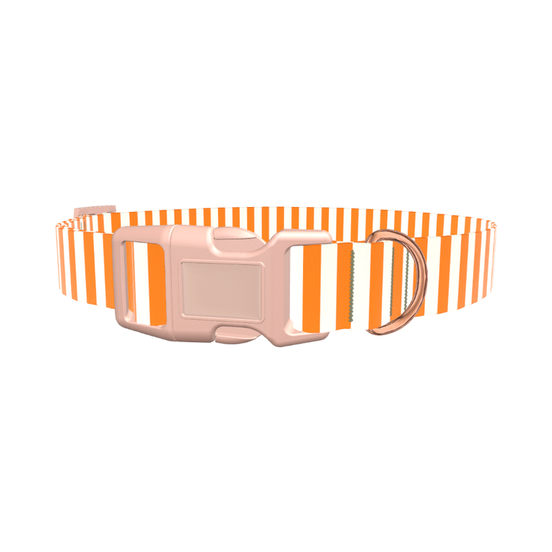 Halloween Stripes Dog Collar - plastic silver