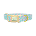 Pastel Valentine Heart Dog Collar - plastic gold
