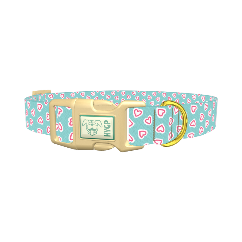 Pastel Valentine Heart Dog Collar - plastic gold