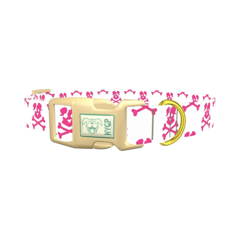 Pirate Dog Skull Dog Collar - plastic gold