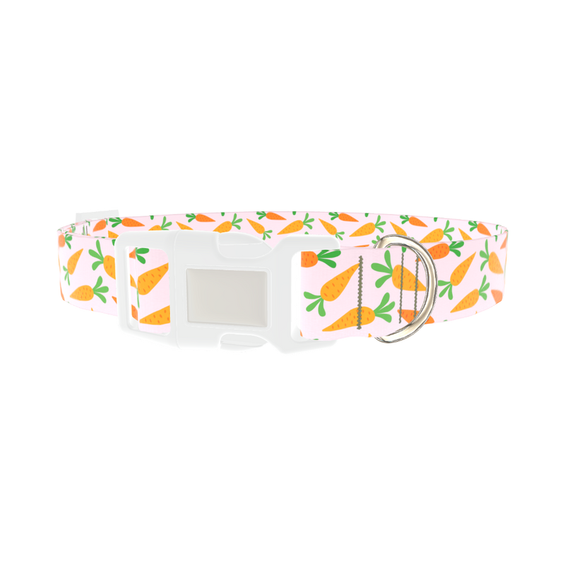 Carrot Garden Dog Collar - plastic silver