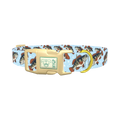 Bass Fish Dog Collar - plastic gold