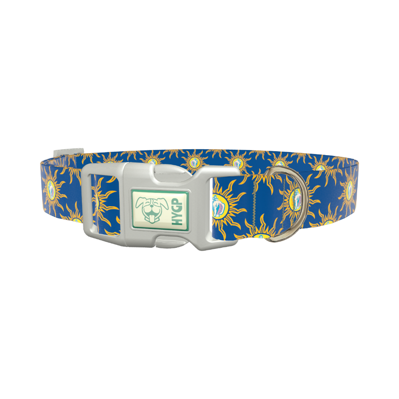 Conch Shell Sunburst Dog Collar - plastic rose gold