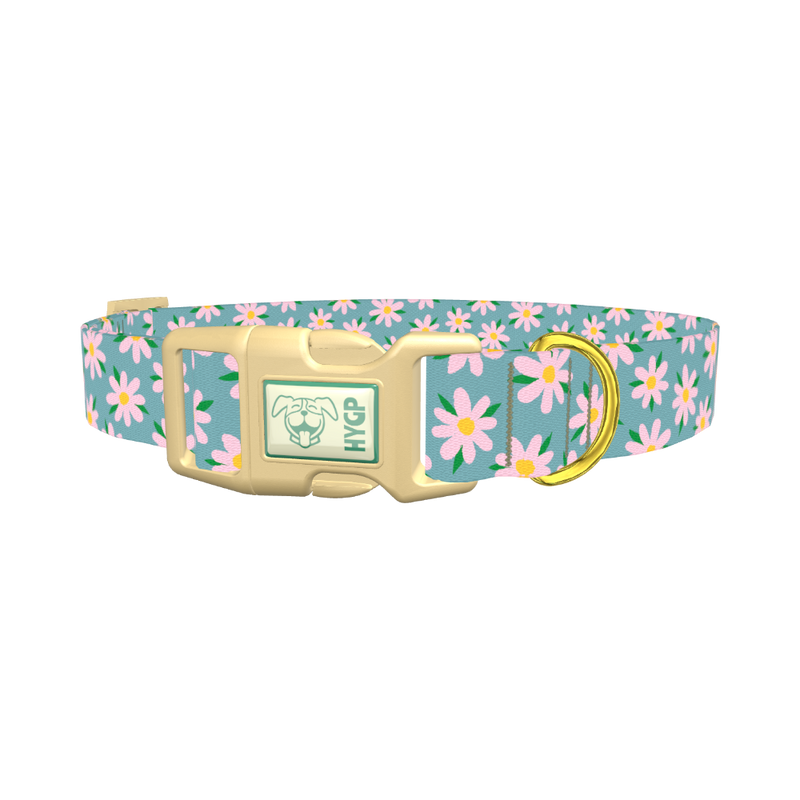 Floral Pink Camomile Dog Collar - plastic gold