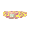 Grapefruit Slice Dog Collar - plastic rose gold