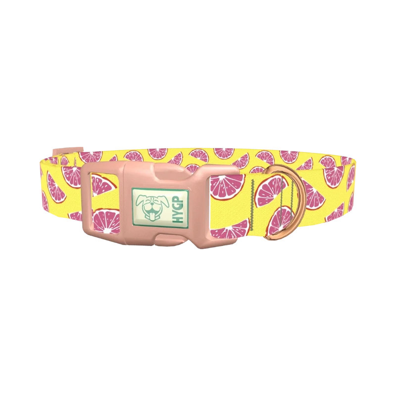 Grapefruit Slice Dog Collar - plastic rose gold