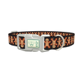 Gothic Gingerbread Dog Collar - plastic silver