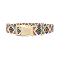 Tribal Star Pattern Dog Collar - plastic silver