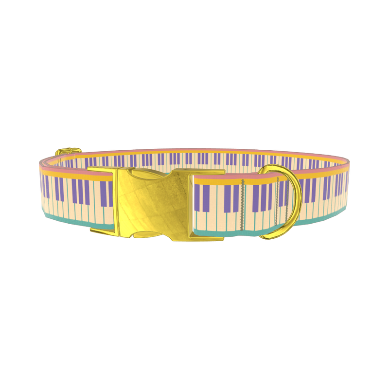 Piano Key Dog Collar - metal gold