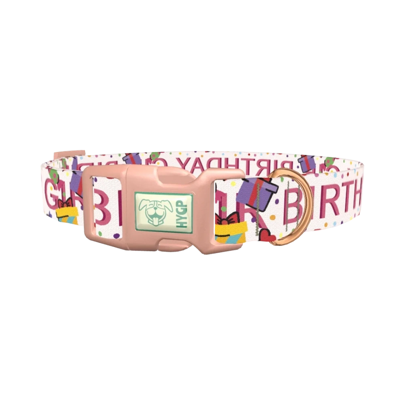 Birthday Celebration Dog Collar - plastic rose gold