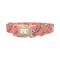 Pink Rosehip Dog Collar - plastic rose gold