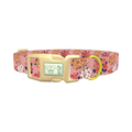 Pink Floral Bloom Dog Collar - plastic gold