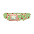 Santa Hat Candy Dog Collar - plastic rose gold