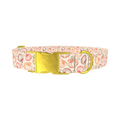 Fall Pumpkin Outline Dog Collar - metal gold