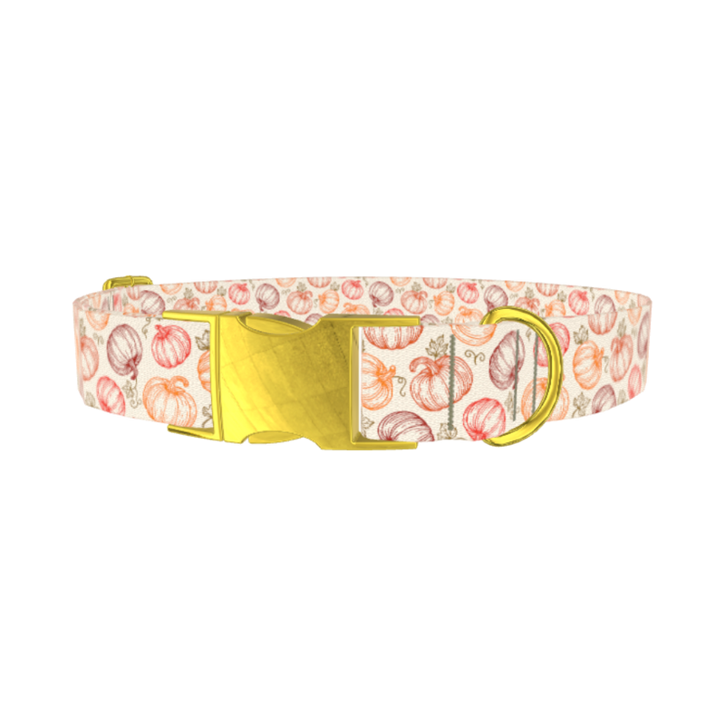 Fall Pumpkin Outline Dog Collar - metal gold