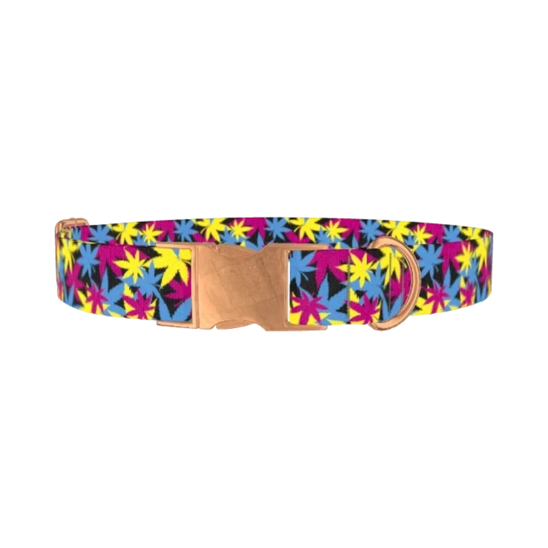 Colorful Leaf Pattern Dog Collar - metal rose gold