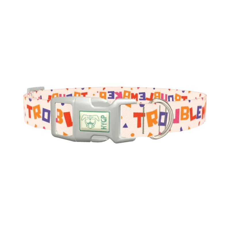 Geometric Letter Dog Collar - plastic silver