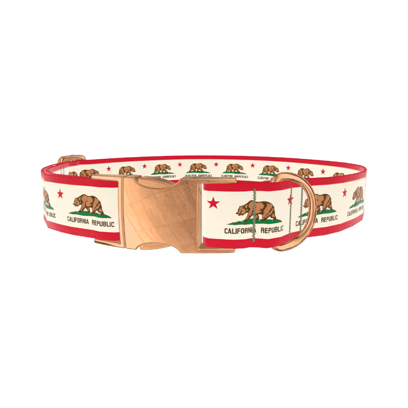 California Republic Flag Dog Collar - metal gold