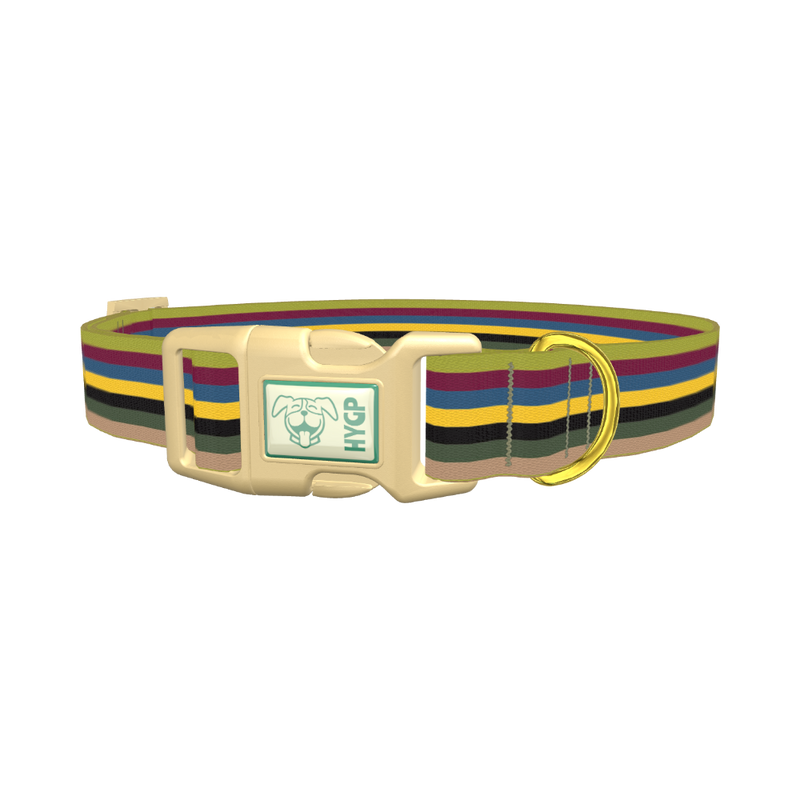 Color Stripe Dog Collar - plastic gold