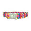Rainbow Heart Dog Collar - plastic silver