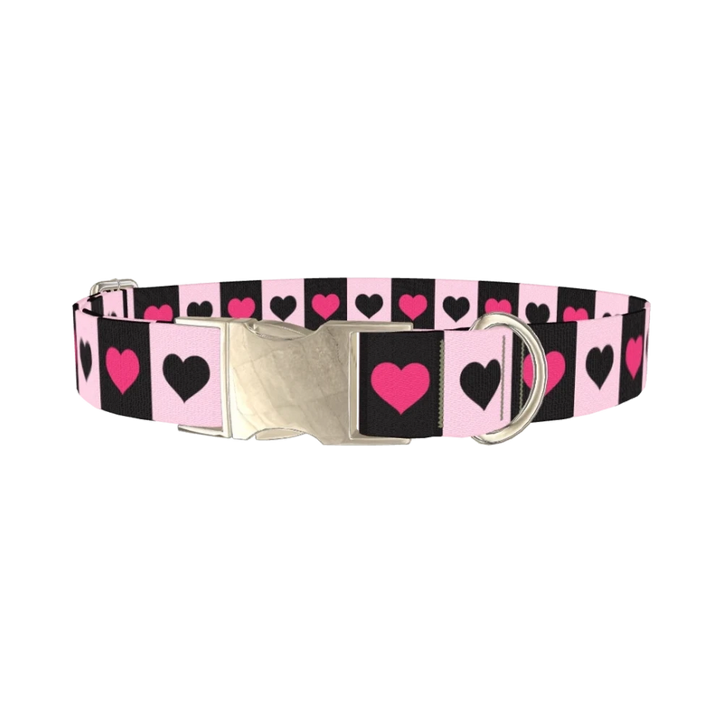 Valentine Heart Stripe Dog Collar - metal silver