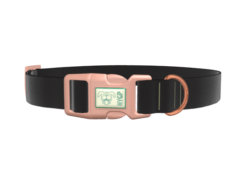 Nero Color Dog Collar