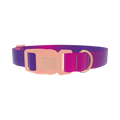 Pink Purple Gradient Dog Collar - plastic rose gold