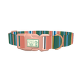 Green Orange Stripe Dog Collar - plastic rose gold