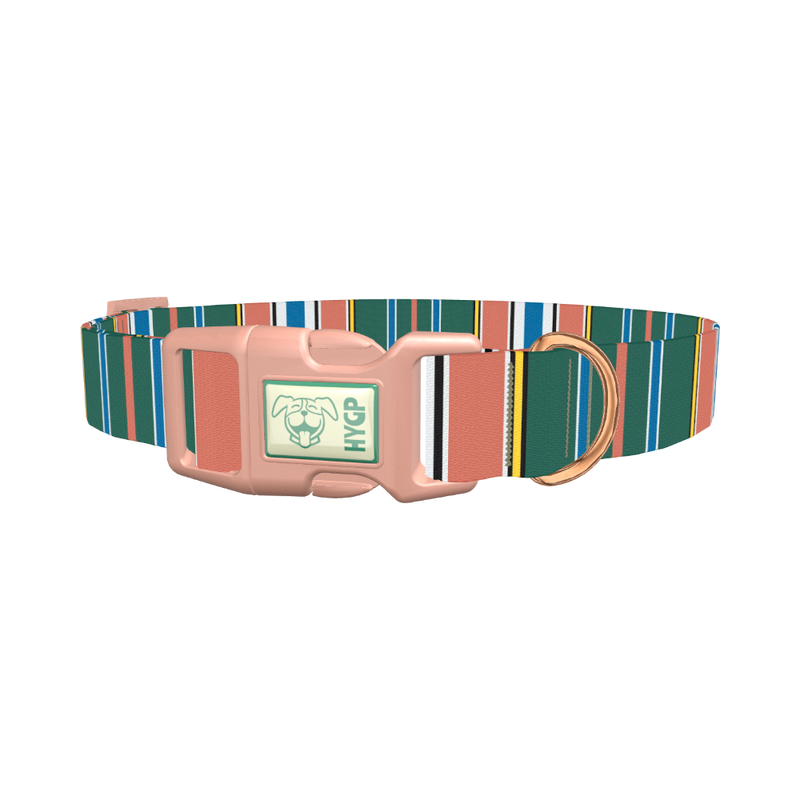 Green Orange Stripe Dog Collar - plastic rose gold