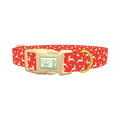 Red Christmas Reindeer Dog Collar - plastic gold