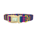 Colorful Dual Stripe Dog Collar - plastic gold