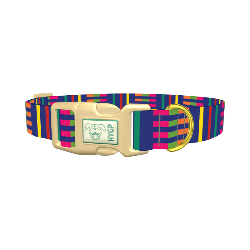 Colorful Dual Stripe Dog Collar - plastic gold