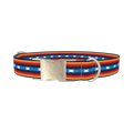 Rainbow Geometric Dog Collar - metal silver