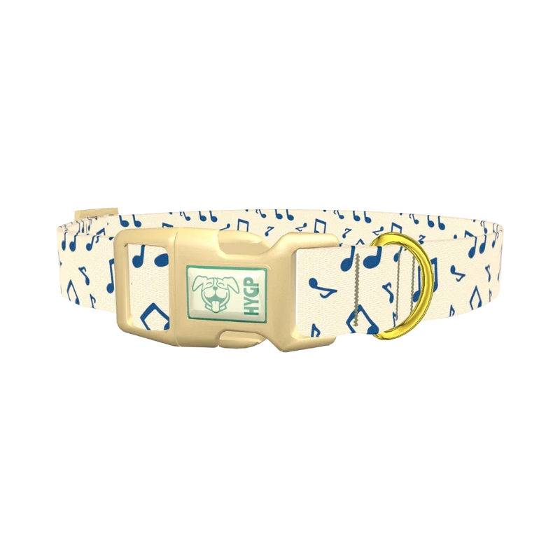 Blue Musical Notes Dog Collar - plastic gold
