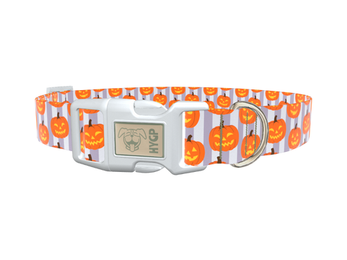 Halloween Pumpkin Stripe Dog Collar