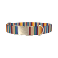 Colorful Striped Dog Collar - metal silver