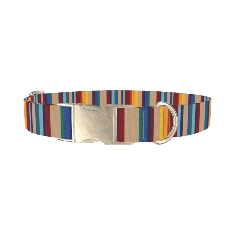 Colorful Striped Dog Collar - metal silver