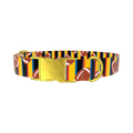 Striped Football Dog Collar - metal gold
