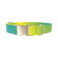 Gradient Color Dog Collar - metal silver
